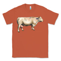 Copper charolais cattle Classic Tee - LillyAllenDesigns
