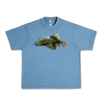 Pebble Blue Bristlenose Placo Urban Heavy Tee - LillyAllenDesigns