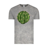 Cloud Rock cactus Vintage Tee - BarkalooDesign