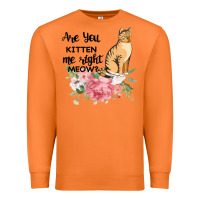Carrot Are you kitten me right meow Premium Sweatshirt - Bettercallsaul