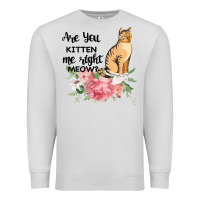 Dove Grey Are you kitten me right meow Premium Sweatshirt - Bettercallsaul
