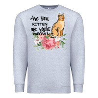 Heather Grey Are you kitten me right meow Premium Sweatshirt - Bettercallsaul