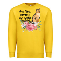 Lemon Are you kitten me right meow Premium Sweatshirt - Bettercallsaul