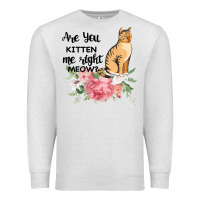 Oatmeal Heather Are you kitten me right meow Premium Sweatshirt - Bettercallsaul