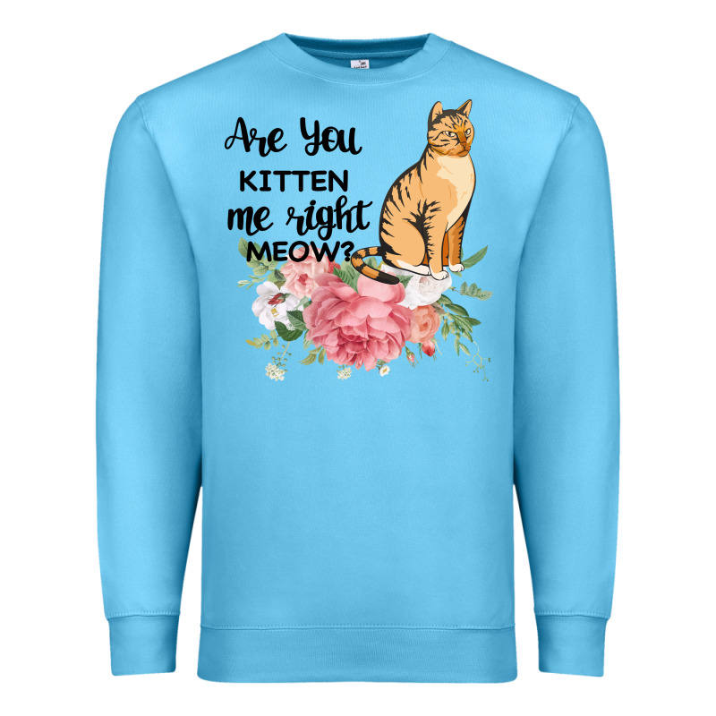 Are You Kitten Me Right Meow Premium Sweatshirt by Bettercallsaul | Teevron