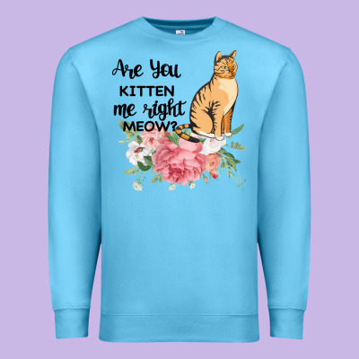 Are You Kitten Me Right Meow Premium Sweatshirt Designed By Bettercallsaul