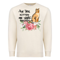 Sandshell Are you kitten me right meow Premium Sweatshirt - Bettercallsaul