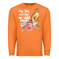 Carrot Cat Maine coon gift kidding kitten meow pussycat Premium Sweatshirt - Bettercallsaul