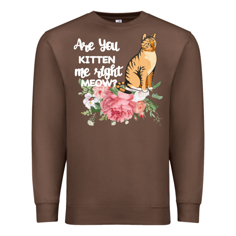 Cat Maine Coon Gift Kidding Kitten Meow Pussycat Premium Sweatshirt by Bettercallsaul | Teevron