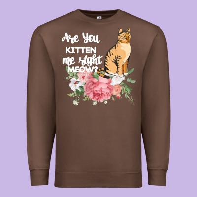 Cat Maine Coon Gift Kidding Kitten Meow Pussycat Premium Sweatshirt Designed By Bettercallsaul