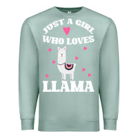 Seafoam Llama Just A Girl Who Loves Llamas Premium Sweatshirt - Bettercallsaul