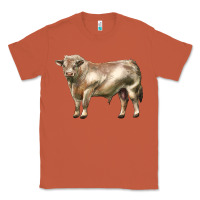 Copper charolais bull Classic Tee - LillyAllenDesigns