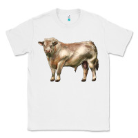 White charolais bull Classic Tee - LillyAllenDesigns