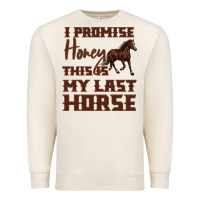 I Promise Honey This Is My Last Horse Premium Sweatshirt | Teevron