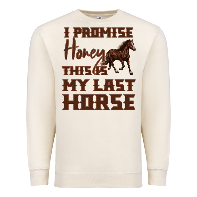 I Promise Honey This Is My Last Horse Premium Sweatshirt by Bettercallsaul | Teevron