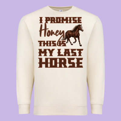 I Promise Honey This Is My Last Horse Premium Sweatshirt Designed By Bettercallsaul