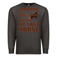Smoke I Promise Honey This Is My Last Horse Premium Sweatshirt - Bettercallsaul