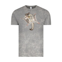 Cloud Rock sugar glider Vintage Tee - LillyAllenDesigns