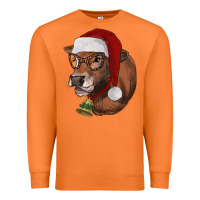 Carrot christmas glasses heifer Premium Sweatshirt - RanaPortraitStore