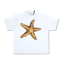 White Starfish Urban Heavy Tee - LillyAllenDesigns