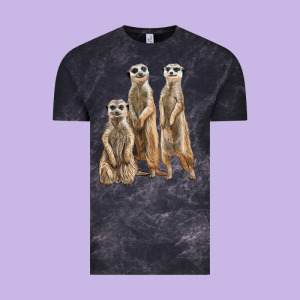 3 Meerkat Vintage Tee Designed By Lillyallendesigns