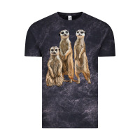 Cloud Black 3 meerkat Vintage Tee - LillyAllenDesigns