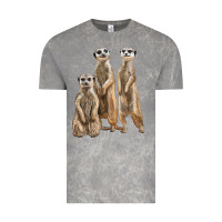 Cloud Rock 3 meerkat Vintage Tee - LillyAllenDesigns
