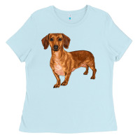 Baby Blue dachshund Ladies Tee - RanaPortraitStore