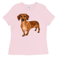 Bubblegum Pink dachshund Ladies Tee - RanaPortraitStore