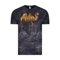 Cloud Black Camel Vintage Tee - LillyAllenDesigns