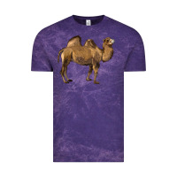 Cloud Purple Camel Vintage Tee - LillyAllenDesigns