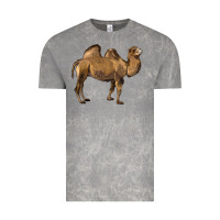 Cloud Rock Camel Vintage Tee - LillyAllenDesigns