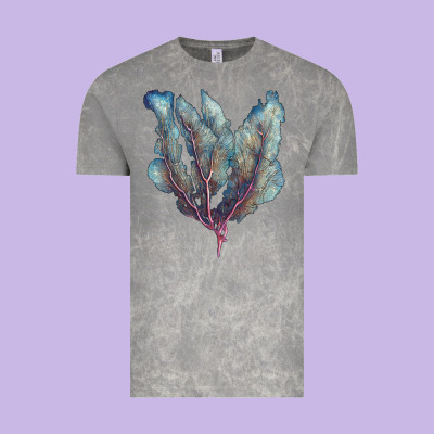 Venus Fan Sea Coral Vintage Tee Designed By Lillyallendesigns