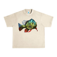 Sandshell Peacock Bass Illustrations Urban Heavy Tee - LillyAllenDesigns