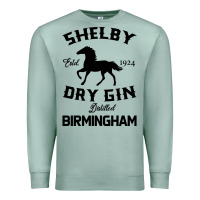 Seafoam Horse Premium Sweatshirt - Bettercallsaul