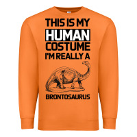 Carrot This Is My Human Costume Im Really A Brachiosaurus Premium Sweatshirt - Bettercallsaul