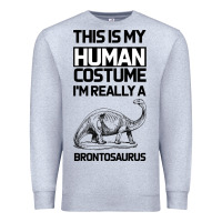 Heather Grey This Is My Human Costume Im Really A Brachiosaurus Premium Sweatshirt - Bettercallsaul