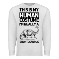 Oatmeal Heather This Is My Human Costume Im Really A Brachiosaurus Premium Sweatshirt - Bettercallsaul