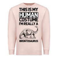 Pale Pink This Is My Human Costume Im Really A Brachiosaurus Premium Sweatshirt - Bettercallsaul