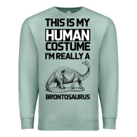 Seafoam This Is My Human Costume Im Really A Brachiosaurus Premium Sweatshirt - Bettercallsaul