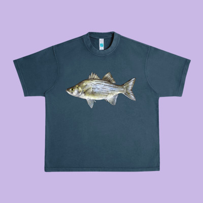 White Bass Fish Illustrations Urban Heavy Tee Designed By Lillyallendesigns