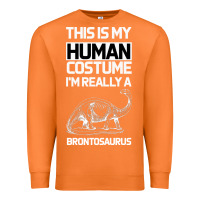 Carrot This Is My Human Costume Im Really A Brachiosaurus Premium Sweatshirt - Bettercallsaul
