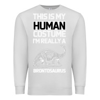 Dove Grey This Is My Human Costume Im Really A Brachiosaurus Premium Sweatshirt - Bettercallsaul