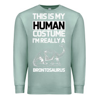 Seafoam This Is My Human Costume Im Really A Brachiosaurus Premium Sweatshirt - Bettercallsaul