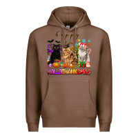 Chestnut happy hallothanksmas cats Premium Hoodie - texasbilliewilder