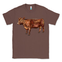 Chestnut red angus cow Classic Tee - LillyAllenDesigns