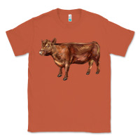 Copper red angus cow Classic Tee - LillyAllenDesigns