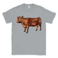 Heather Grey red angus cow Classic Tee - LillyAllenDesigns