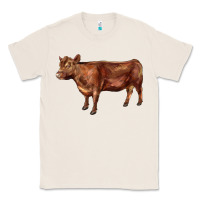 Natural red angus cow Classic Tee - LillyAllenDesigns