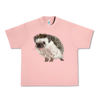 Salmon Hedgehog Illustrations Urban Heavy Tee - LillyAllenDesigns
